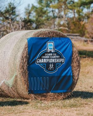 Image post by @clemsontrackxc on Instagram