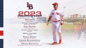 Image post by @LouisvilleBats on Twitter