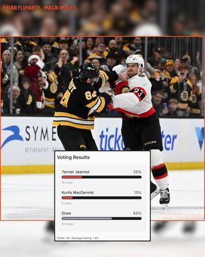Image post by @hockeyfights on Instagram