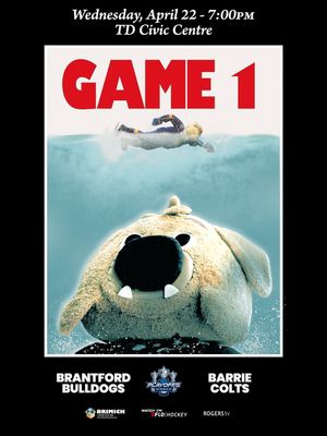 Image post by @bulldogsohl on Instagram