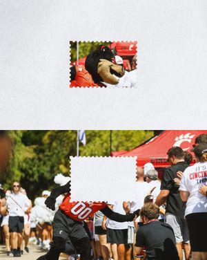 Image post by @uofcincy on Instagram