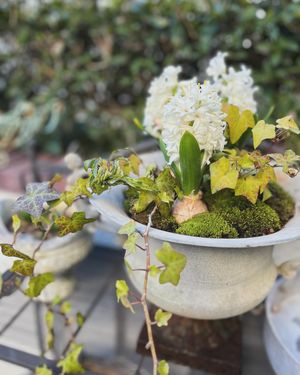 Image post by @kaho_flowerdesigner on Instagram