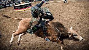 Video post by @pbr on YouTube