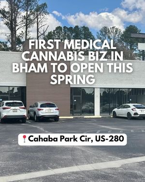 Image post by @bhamnow on Instagram