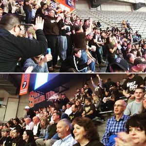 Image post by @gobonnies on Instagram