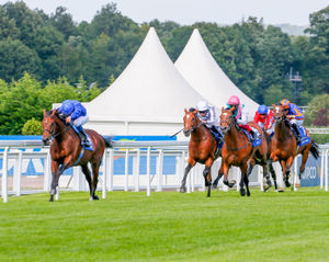 Image post by @godolphin on Instagram