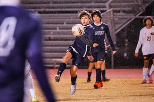 Image post by @AriannaGrainey on Twitter