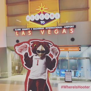 Image post by @templealumni on Instagram