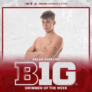 Image post by @indianaswimdive on Instagram