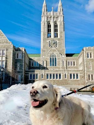 Image post by @bostoncollege on Instagram