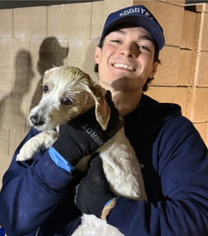 Video post by @abcnewslive on TikTok