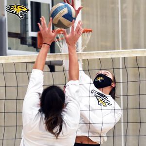 Image post by @towsontigersvb on Instagram