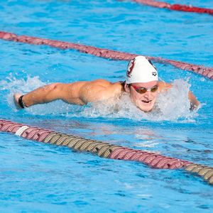 Image post by @fsuswimdive on Instagram