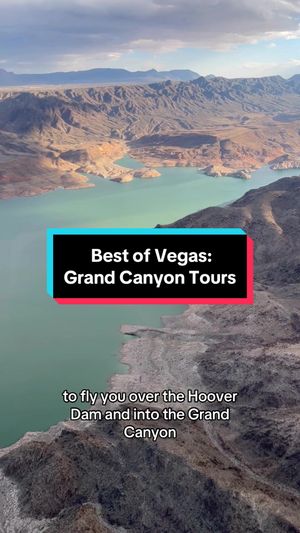 Video post by @vegasstarfish on TikTok