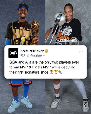 Image post by @soleretriever on Instagram