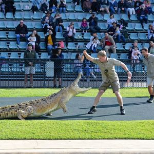 Image post by @animalplanet on Instagram