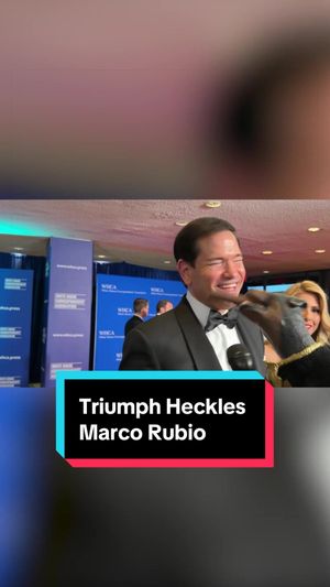 Video post by @thedailyshow on TikTok