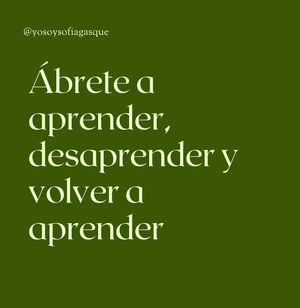 Image post by @yosoysofiagasque on Instagram