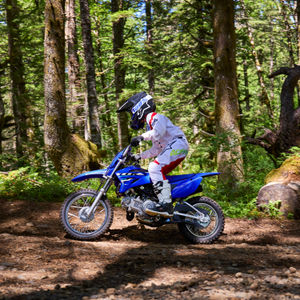 Image post by @yamahamotoraus on Instagram
