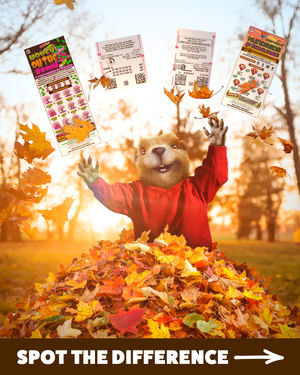 Image post by @palottery on Instagram