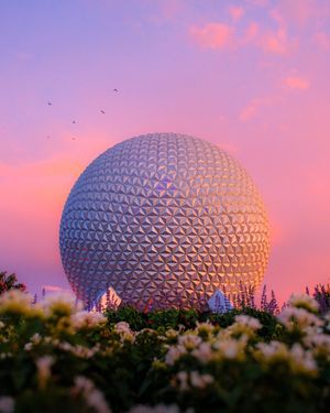 Image post by @waltdisneyworld on Instagram