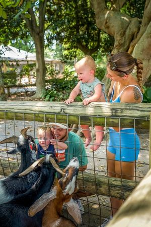 Image post by @GulfBreezeZoo on Facebook