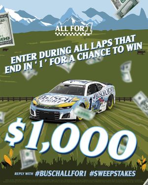 Image post by @BuschBeer on Twitter
