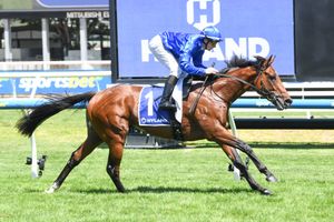 Image post by @godolphin on Instagram