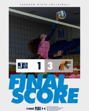 Image post by @gojsutigersvb on Instagram