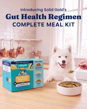 Image post by @solidgoldpets on Instagram