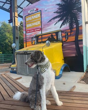 Image post by @floofy.coopy.doodle on Instagram