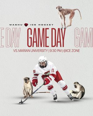 Image post by @washuhockey on Instagram