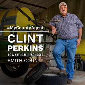 Image post by @txextension on Instagram
