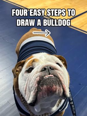 Image post by @thebutlerblue on Instagram