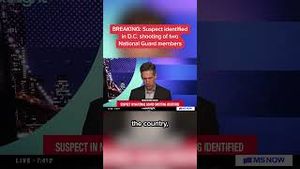 Video post by @msnbc on YouTube