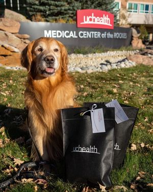 Image post by @uchealth on Instagram