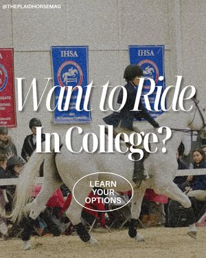 Image post by @theplaidhorsemag on Instagram