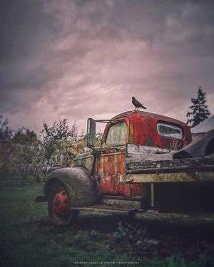 Image post by @canonusa on Instagram