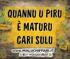 Image post by @maluchiffari on Instagram
