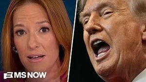 Video post by @msnbc on YouTube