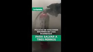 Video post by @laopinionla on YouTube