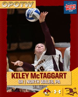 Image post by @suseagulls on Instagram
