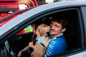 Image post by @gqitalia on TikTok