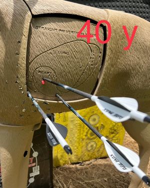 Image post by @thehuntingchallenge on Instagram