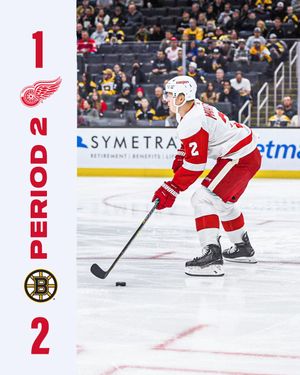 Image post by @DetroitRedWings on Twitter