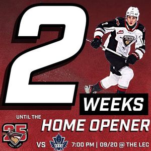 Image post by @whlgiants on Instagram