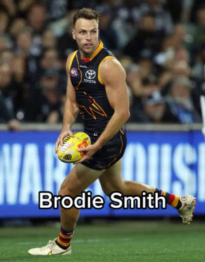 Image post by @adelaidefc on TikTok
