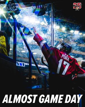 Image post by @whlgiants on Instagram