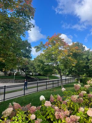 Image post by @bostoncollege on Instagram