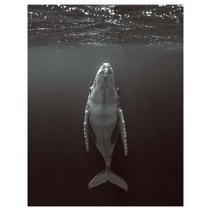 Image post by @slatermoorephotography on Instagram